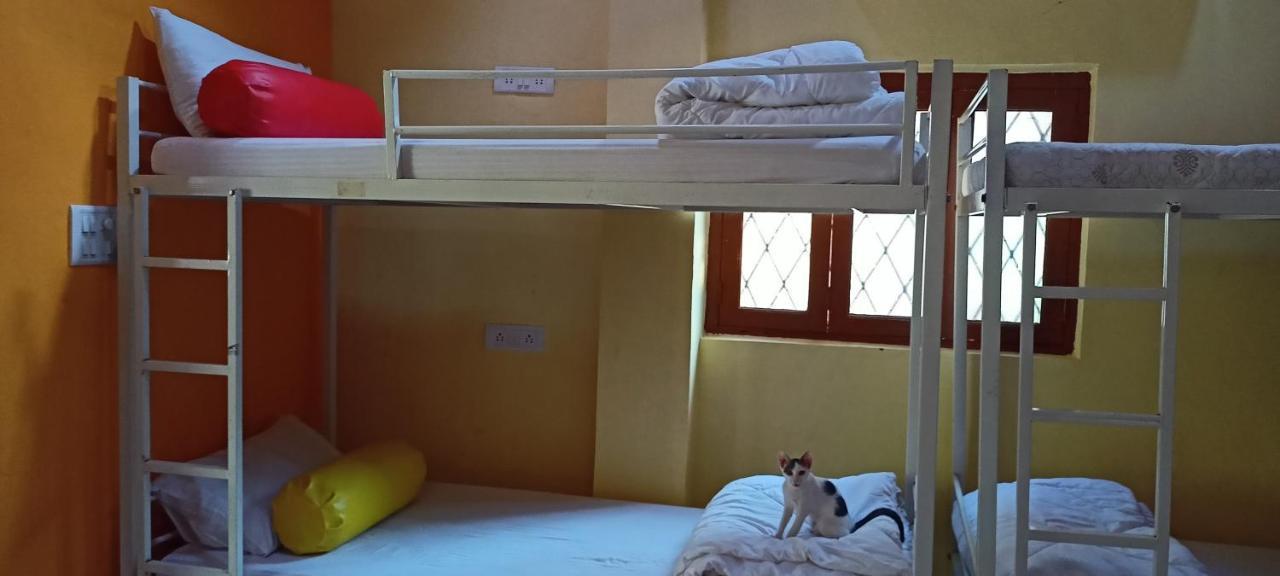 Red Monkeys Hostel Arambol Exterior foto